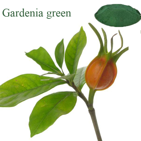 Gardenia Green Colour,natural food coloring,certified organic colors,natural  ingredient,